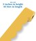 Carson Dellosa 65Ft of Goldenrod Yellow Green Bulletin Board Borders, 1 Roll of Mango Scalloped Trim for Rolling Whiteboard, Cork and Posterboard, Party, Office Decorations, and Classroom Decor